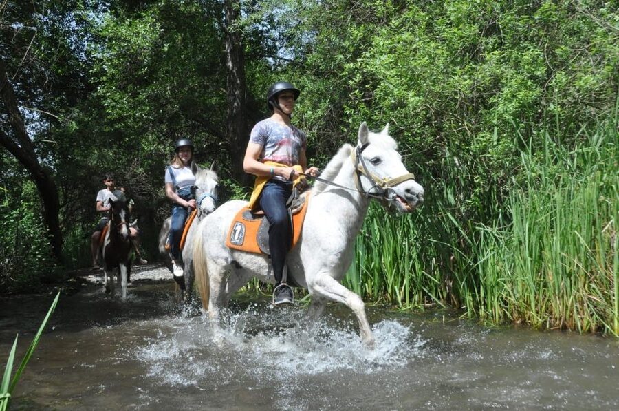 From Fethiye: Horse Riding Adventure - Leaving Fethiye for the pine forest