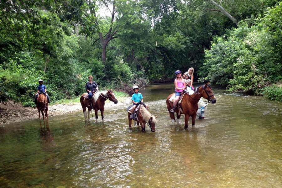 From Fethiye: Horse Riding Adventure - FAQ