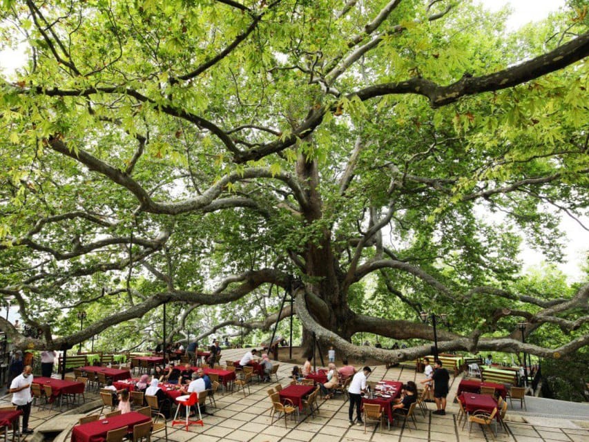 From Istanbul: Bursa Day Trip with Lunch and Transfers - Turkish delight, honey, and the old plane tree