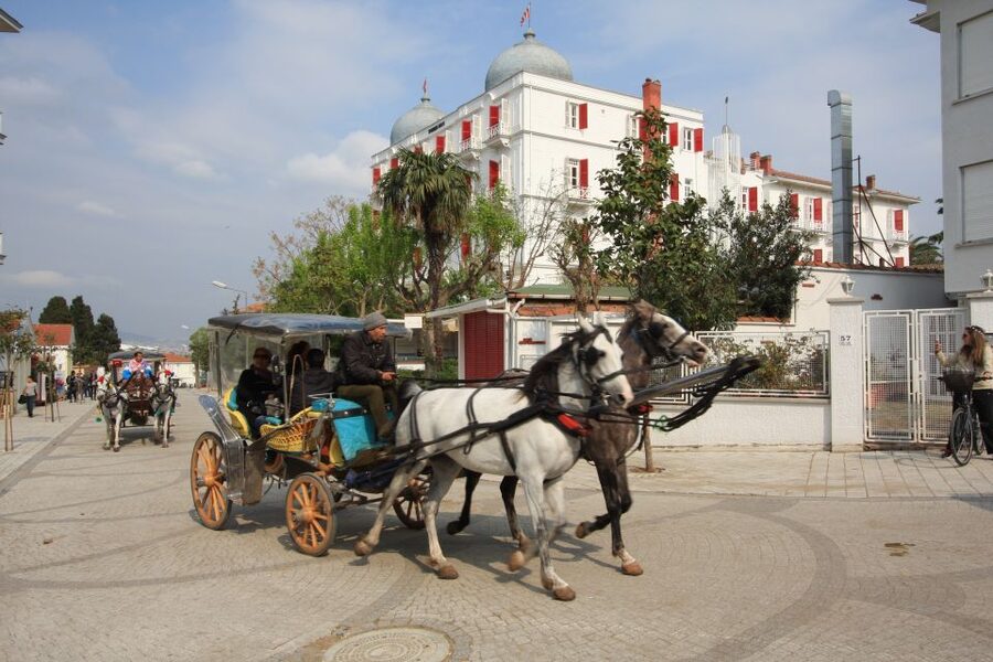From Istanbul: Full-Day Princes Island Tour with Lunch - Key points to know before booking