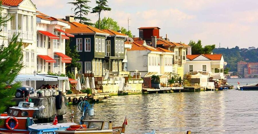 From Istanbul: Full-Day Princes Island Tour with Lunch - Büyükada brings the mansions and the best free time