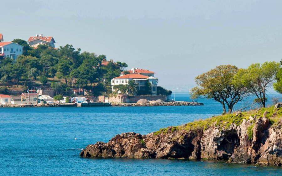 From Istanbul: Full-Day Princes Island Tour with Lunch - Three hours of cruising changes how the day feels