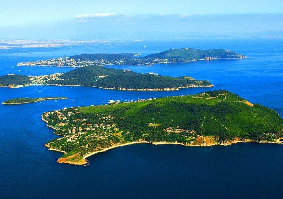 From Istanbul: Full-Day Princes Island Tour with Lunch - The return includes an optional shopping stop