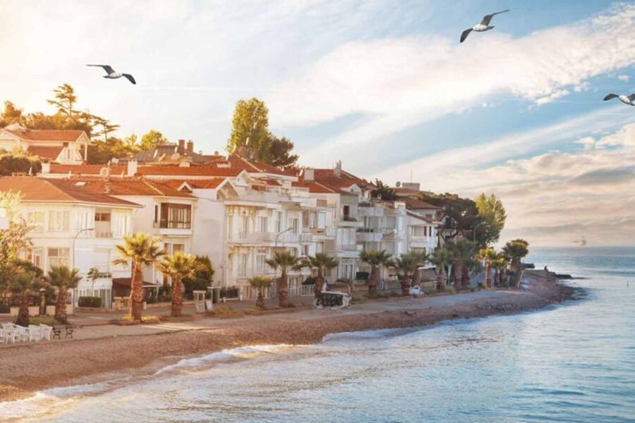 From Istanbul: Full-Day Princes Island Tour with Lunch - Season, weather, and timing matter