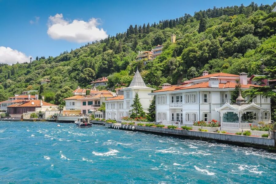 From Istanbul: Full-Day Princes Island Tour with Lunch - Who should book this Princes Islands trip?