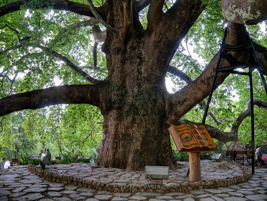 From Istanbul: Full-Day Tour to Bursa - The old tree and final stops