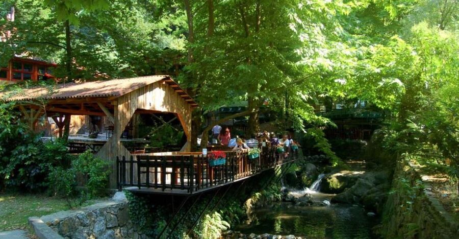 From Istanbul: Guided Day Trip to Sapanca and Masukiye - Seeing animals at Sapanca Zoo