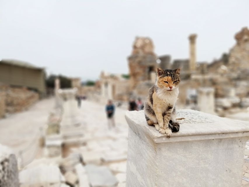 From Istanbul: Private Guided Day Trip to Ephesus with Lunch - Key points to know before booking