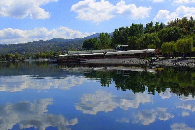From Istanbul: Sapanca and Masukiye Day Trip with Lunch - Darıca Zoo or the Lion Park and Aquarium