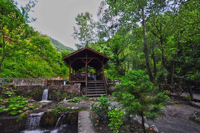 From Istanbul: Sapanca and Masukiye Day Trip with Lunch - Mahmudiye Village and the optional zipline