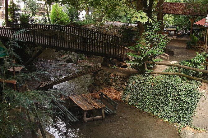 From Istanbul: Sapanca and Masukiye Day Trip with Lunch - Lunch beside the countryside