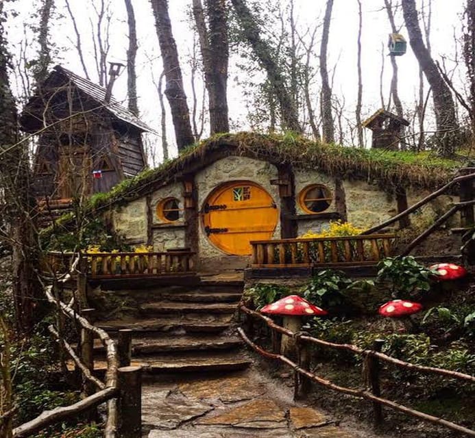 From Istanbul: Sapanca & Maşukiye Full-Day Tour with Lunch - What the $22 price really buys you