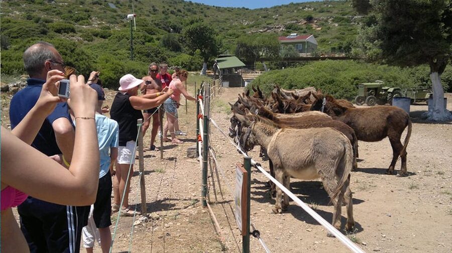 From Izmir: Full Day Boat Trip around Cesme with BBQ Lunch - Key points to know before booking