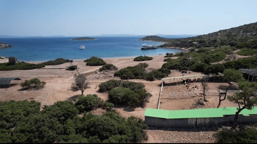 From Izmir: Full Day Boat Trip around Cesme with BBQ Lunch - What the $89 price really covers