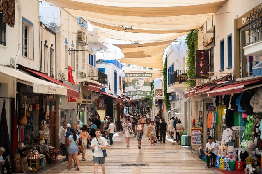 From Kos: Bodrum Day Trip by Ferry with Transfer - What the $62 price really covers