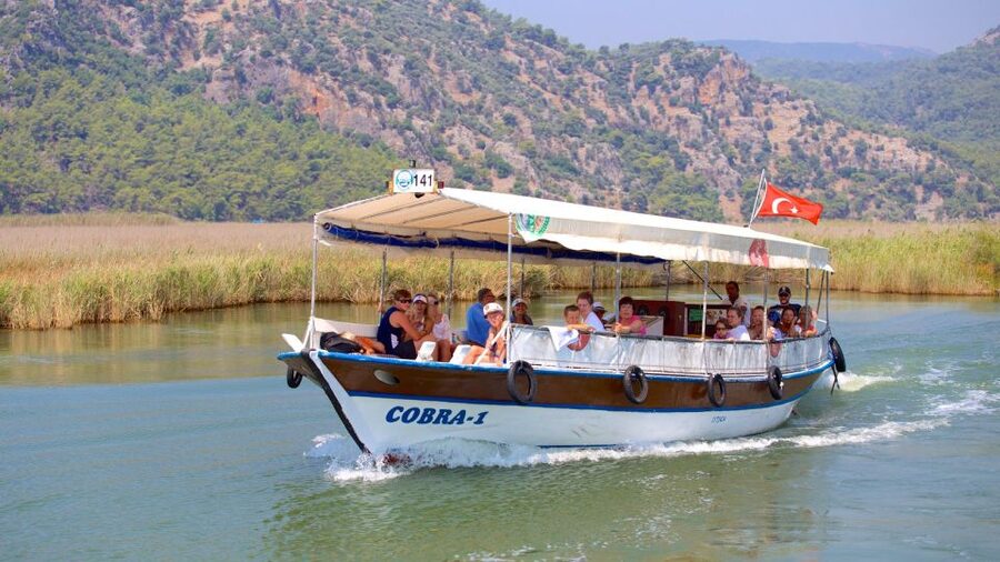 From Marmaris: Day Trip to Dalyan with Lunch - Thermal springs and the mud bath stop