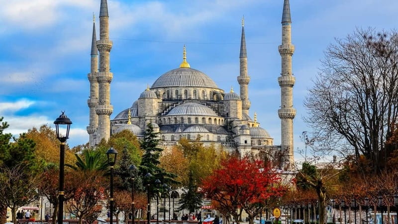 Full Day Istanbul 1, 2 or 3-Day Private City Guided Tour - Walking, cars, tickets, and timing