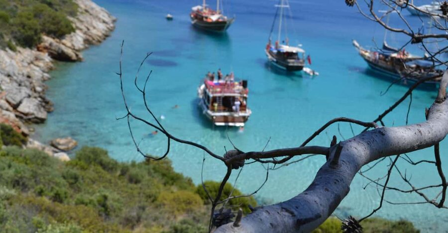 Full-Day Orak Island Boat Trip from Bodrum - Why Orak Island is worth a day on the water