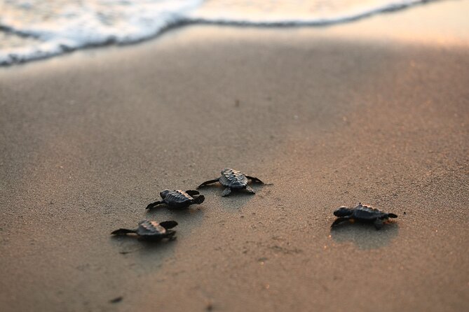 Full Day Turtle Beach Tour With Lake and Mud Baths From Marmaris - The Dalyan River boat ride and cliff tombs