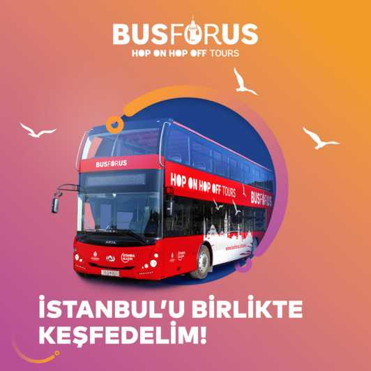 Istanbul: 48-Hour Hop-On Hop-Off Double Decker Bus Ticket - How the red and blue routes really work