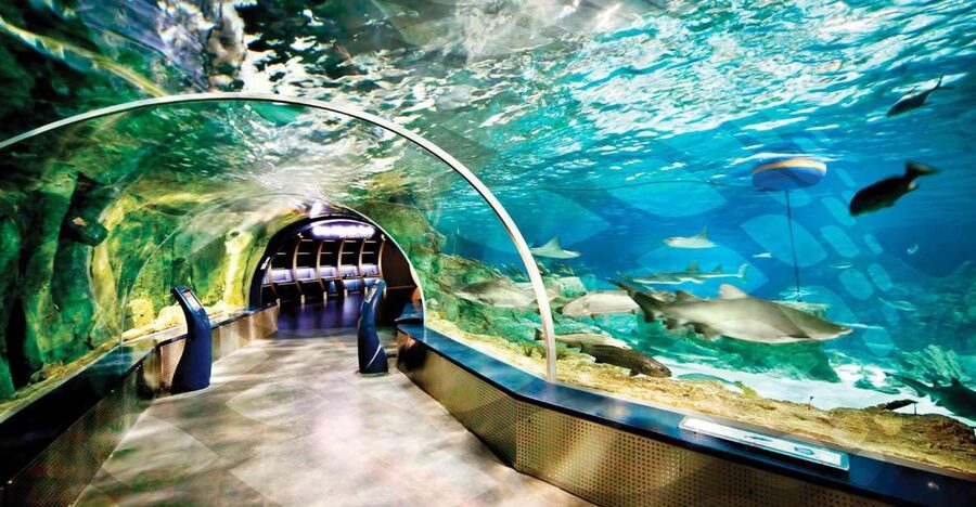 Istanbul Aquarium and Aqua Florya Shopping Mall Tour - Key points to know before you book