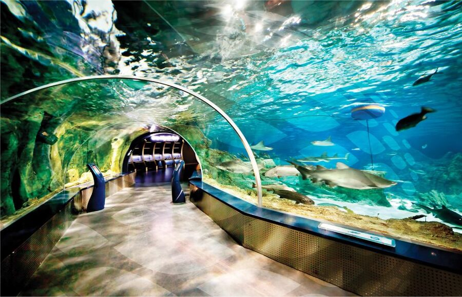Istanbul Aquarium and Aqua Florya Shopping Mall Tour - Sharks, rays, piranhas, and the penguin stop