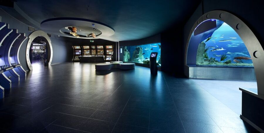 Istanbul Aquarium and Aqua Florya Shopping Mall Tour - Mirror Labyrinth and Rainforest Quest