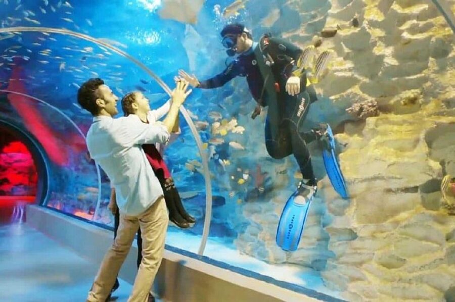 Istanbul Aquarium and Aqua Florya Shopping Mall Tour - Is $177 good value for five hours?