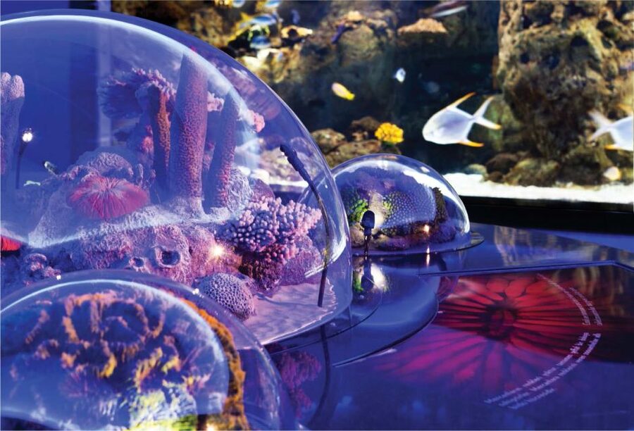 Istanbul Aquarium and Aqua Florya Shopping Mall Tour - Who will enjoy this tour most?