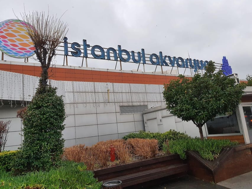 Istanbul: Aquarium Ticket and Round Trip Shuttle from Taksim - From Black Sea species to Pacific predators