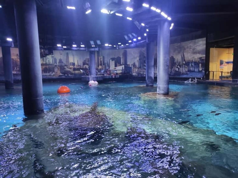 Istanbul: Aquarium Ticket and Round Trip Shuttle from Taksim - The rainforest zones and two-floor route