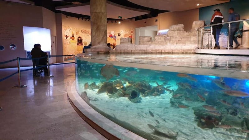 Istanbul: Aquarium Ticket and Round Trip Shuttle from Taksim - What the $33 price really buys you