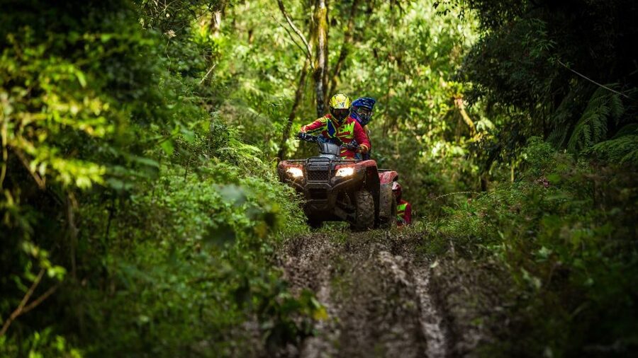 Istanbul: Belgrad Forest ATV Tour with Ziplining Option - Key points to know before booking