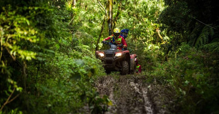 Istanbul: Belgrad Forest ATV Tour with Ziplining Option - Forty minutes on the forest track
