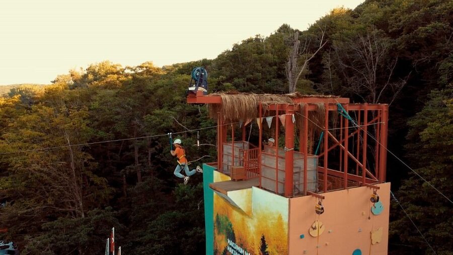 Istanbul: Belgrad Forest ATV Tour with Ziplining Option - Should you book the Belgrad Forest ATV tour?