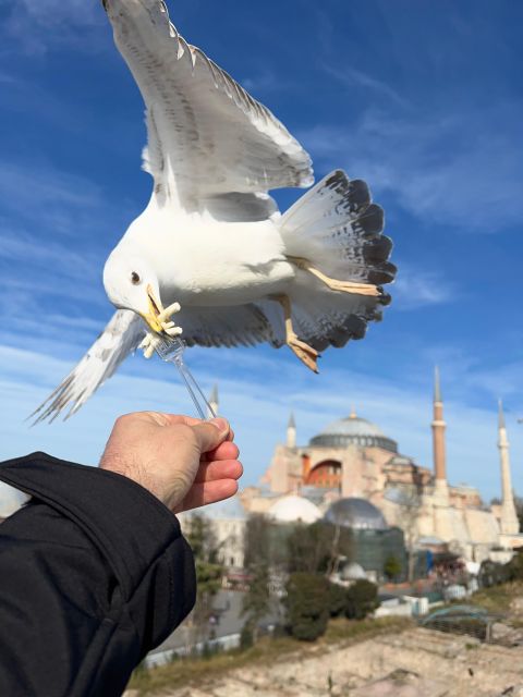 Istanbul: Best of The City Full-Day Tour with Transfers - Lunch, walking, and the pace of the day