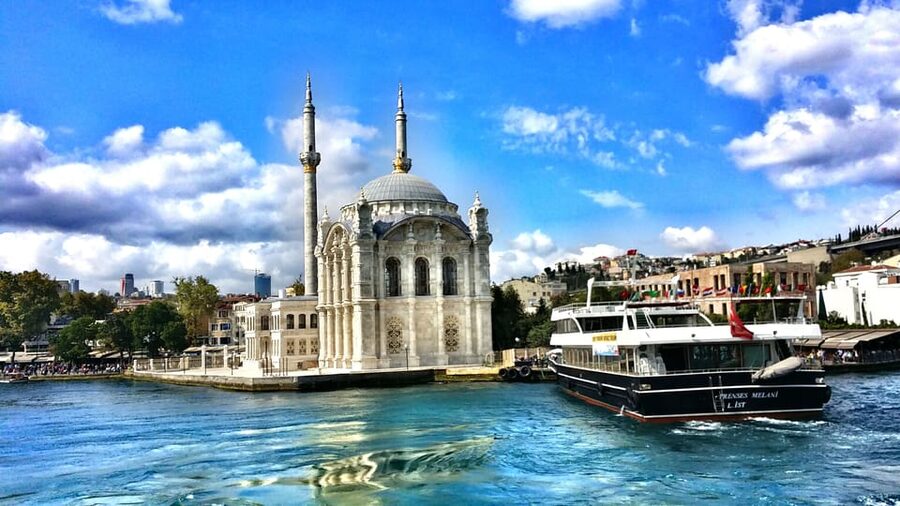 Istanbul: Bosphorus and Black Sea Cruise with Lunch - One hour in Anadolu Kavagi