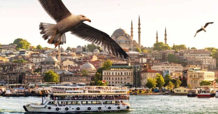 Istanbul: Bosphorus And Golden Horn Morning or Sunset Cruise - Palaces along the European shore