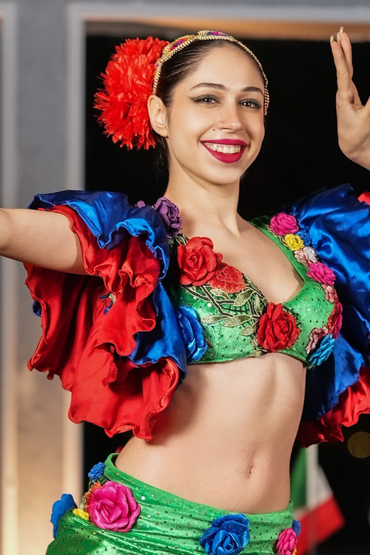 Istanbul: Bosphorus Cruise with Dinner Show - Who should book this cruise?