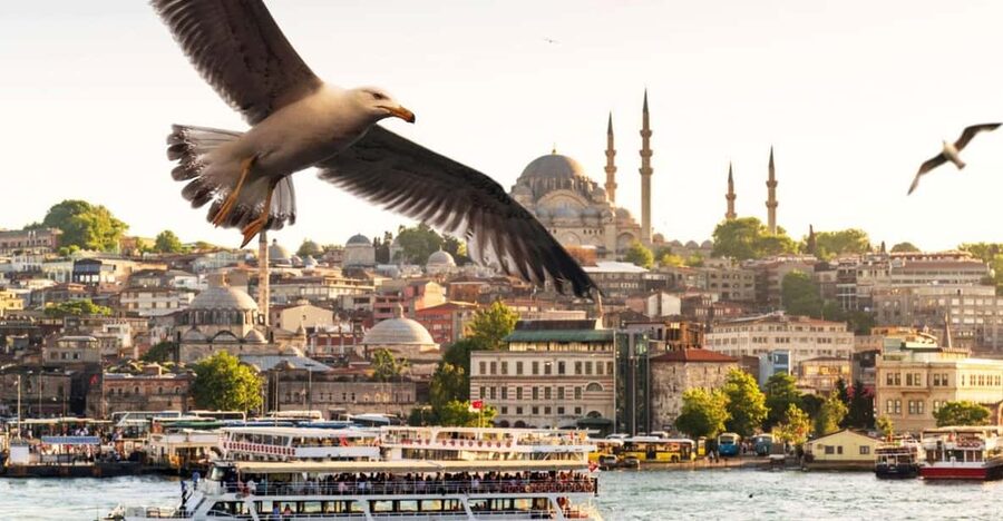 Istanbul: Bosphorus Dinner Cruise with Private Table & Show - Boarding from central Istanbul