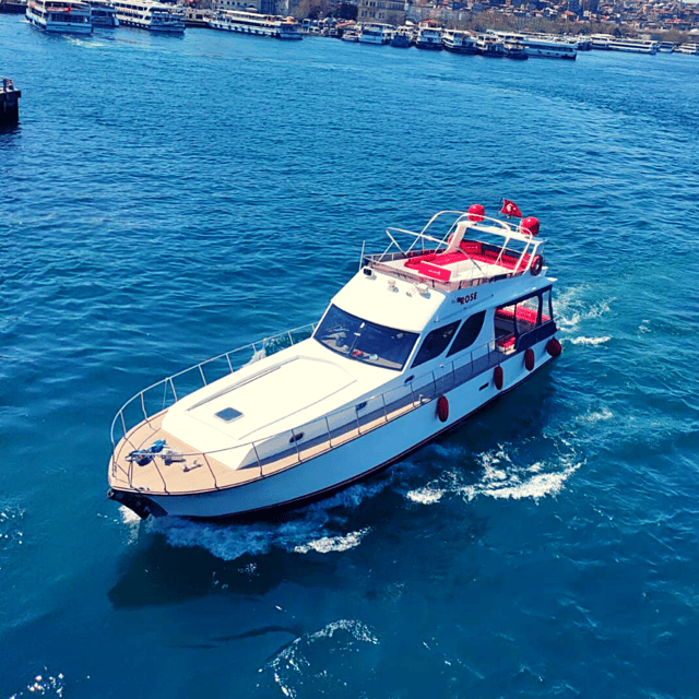 İstanbul: Bosphorus Private Yacht Cruise with Tea and Coffee - Beylerbeyi Palace and Anatolian Fortress