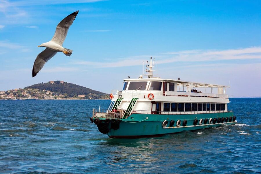 Istanbul: Bosphorus Strait Sightseeing Cruise & Audio Guide - Rumeli Hisarı and the narrow middle stretch