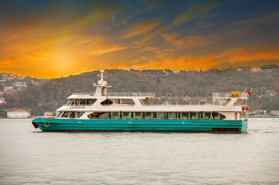 Istanbul: Bosphorus Sunset Cruise with Drinks & Snack - The audio guide and the pace of sightseeing