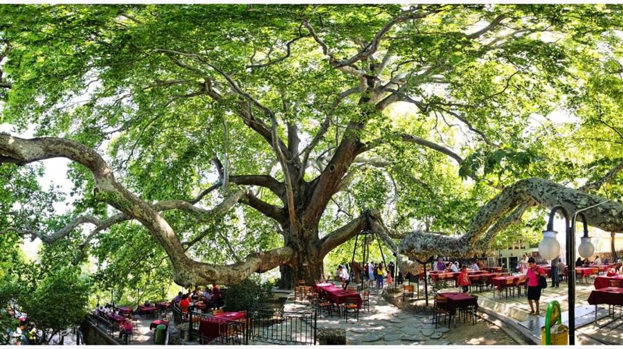 Istanbul: Bursa & Uludag Mountain Day Trip w/ Opt. Cable Car - Key points to know before booking
