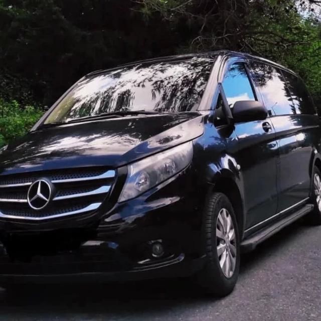 Istanbul: Customizable Sightseeing Private Driving Tour - A private car built around your Istanbul day