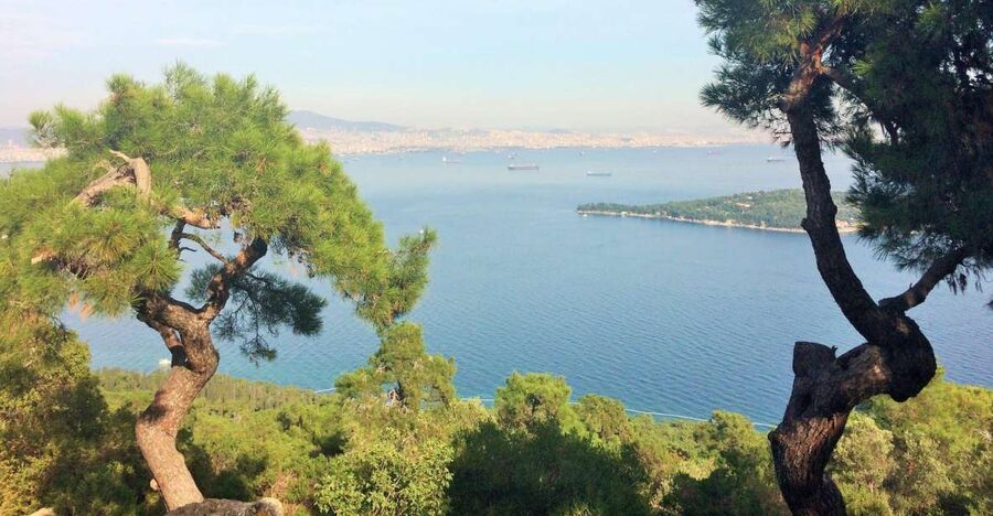 Istanbul: Day Trip to the Princes' Islands - Key points to know before booking