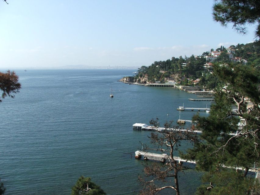 Istanbul: Day Trip to the Princes' Islands - Leaving Istanbul for the Princes’ Islands