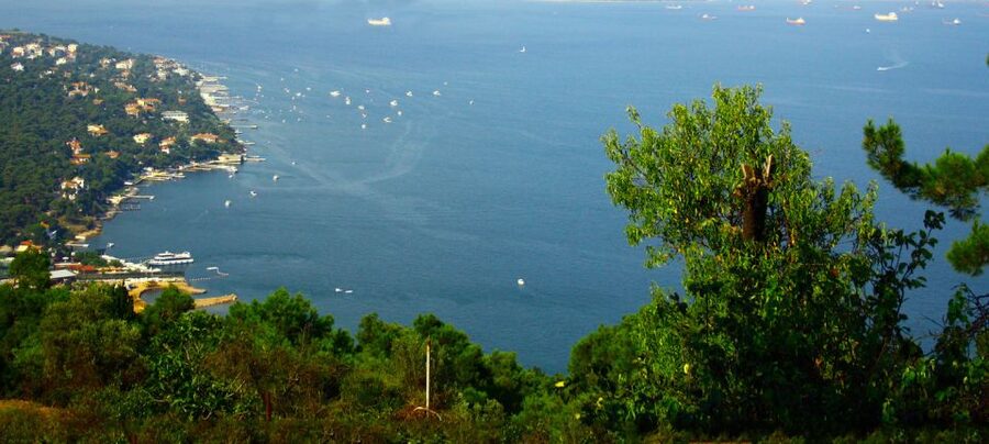 Istanbul: Day Trip to the Princes' Islands - Büyükada’s village square and Victorian houses