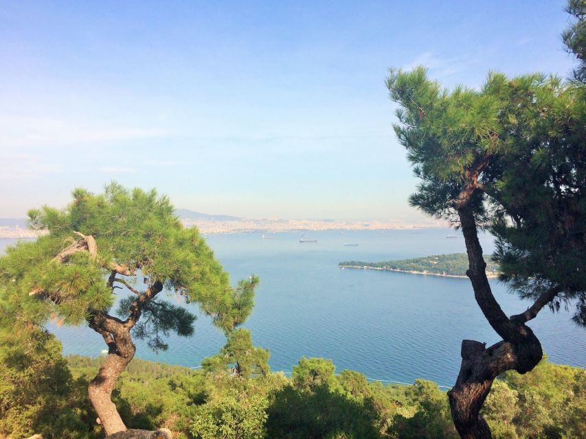 Istanbul: Day Trip to the Princes' Islands - The Marmara Sea crossing