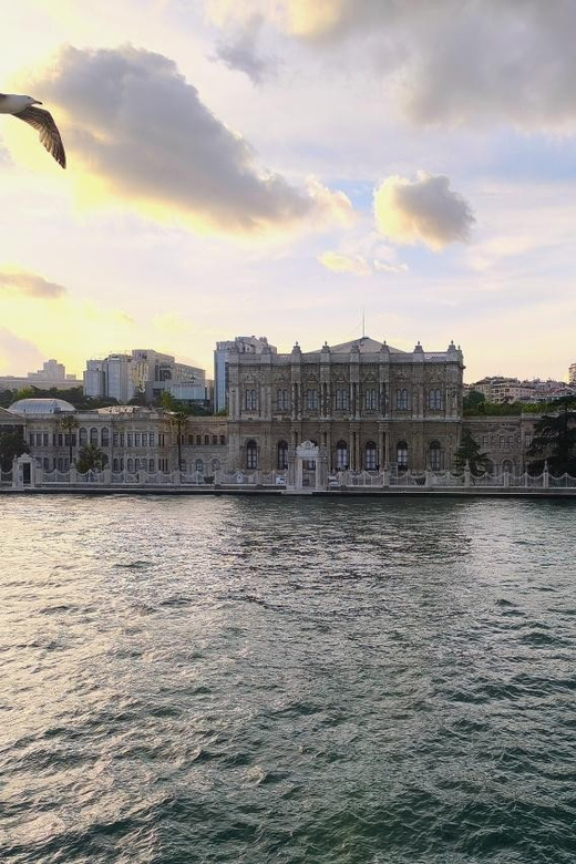 Istanbul: Dolmabahce Palace and Harem Skip-the-Line Ticket - Who will enjoy this palace visit most?